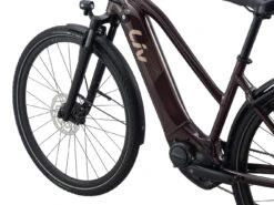 Amiti E+ 2 (RideDash Evo) 10 Amiti E+ 2 (RideDash Evo) -Magasin De Vélos MY21Amiti Eplus2 ColorARosewood 2 GUversion