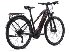 Amiti E+ 2 (RideDash Evo) 8 Amiti E+ 2 (RideDash Evo) -Magasin De Vélos MY21Amiti Eplus2 ColorARosewood back GUversion