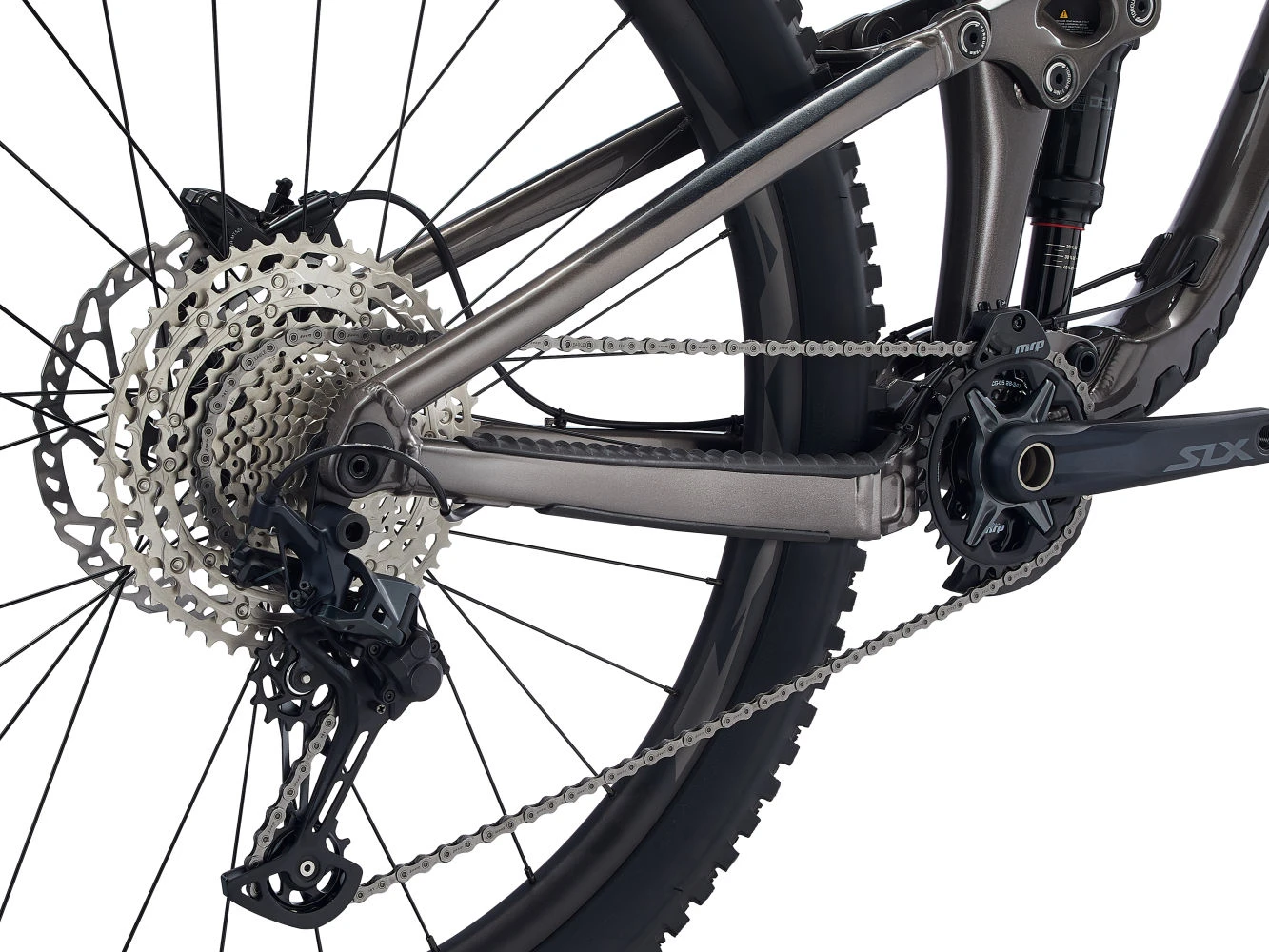 Reign 29 4 Reign 29 – Image 4