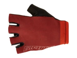 Gants Courts Laurus -Magasin De Vélos SA8300116SA8300117SA8300118SA8300119SA8300120