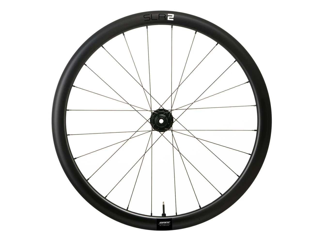 WheelSystem SLR 2 42 Disc 1 WheelSystem SLR 2 42 Disc